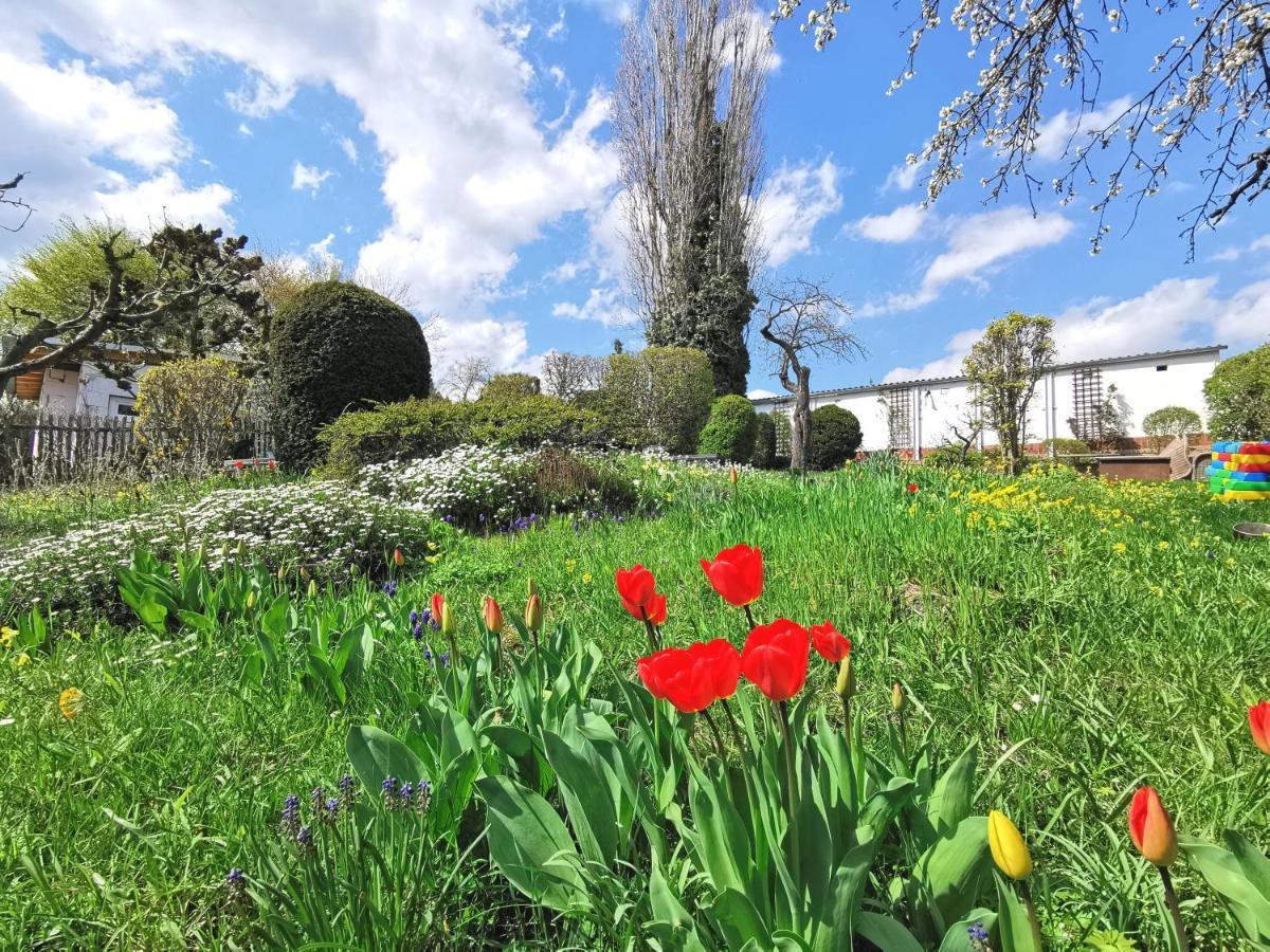 Bohnapartments Ega Stadtblick - Garten - Wlan - Naehe Theater Ega Und Messe Erfurt Luaran gambar